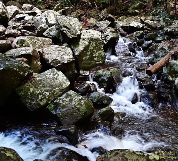 Cedar Creek: Cedar Creek runs through the range near North Mount Tamborine and downstream from the Curtis Falls there are multiple beautiful small rapids like this.