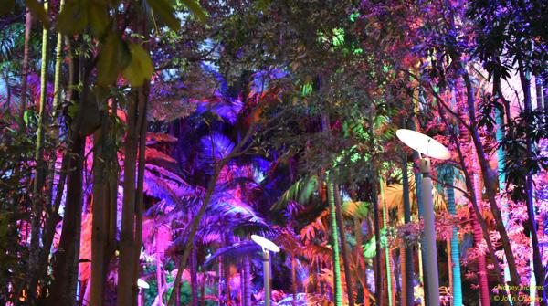 Roma Street Parklands at Christmas Time: PeeWee up close.