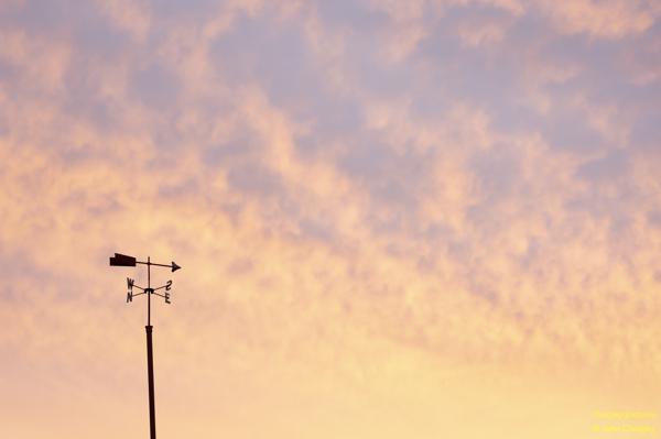 Weather Vane in the Early Morning: Sitting atop a house behind the main street in Monto.