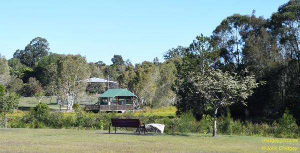 Local Park: A local park taken late 2019.